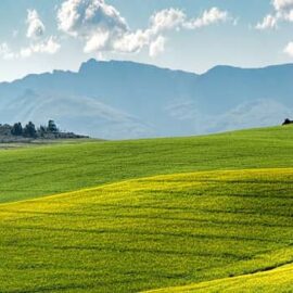 The History of the Agriculture Plane