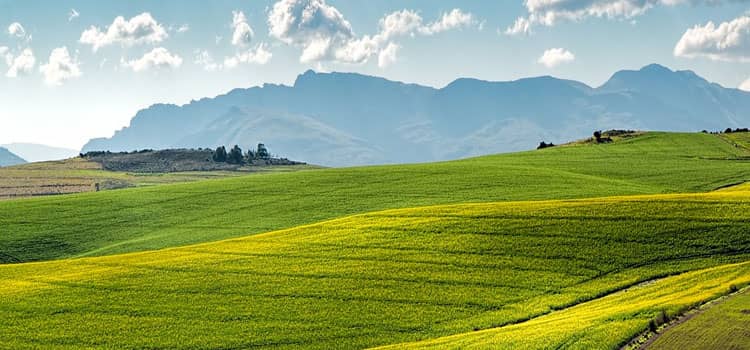 The History of the Agriculture Plane The History of the Agriculture Plane