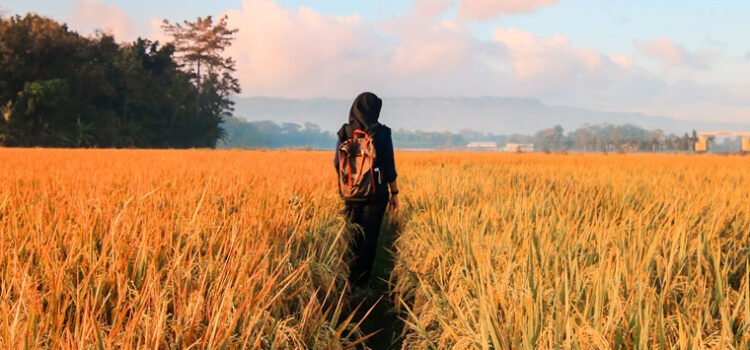 Farmers have long history with Election Day Farmers have long history with Election Day