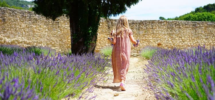 How to grow your own wellness garden How to grow your own wellness garden